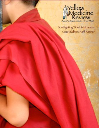 YellowMedicineReviewFall2008cover.jpg